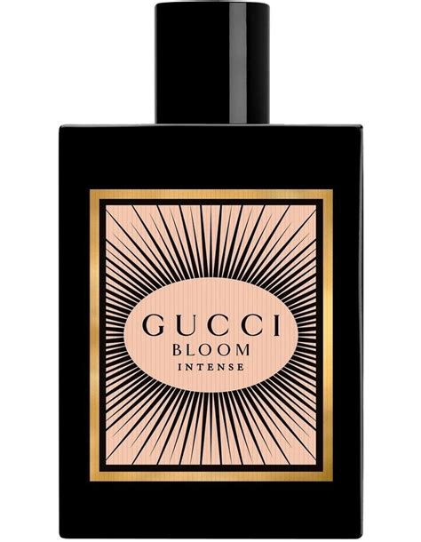 gucci bloom myer